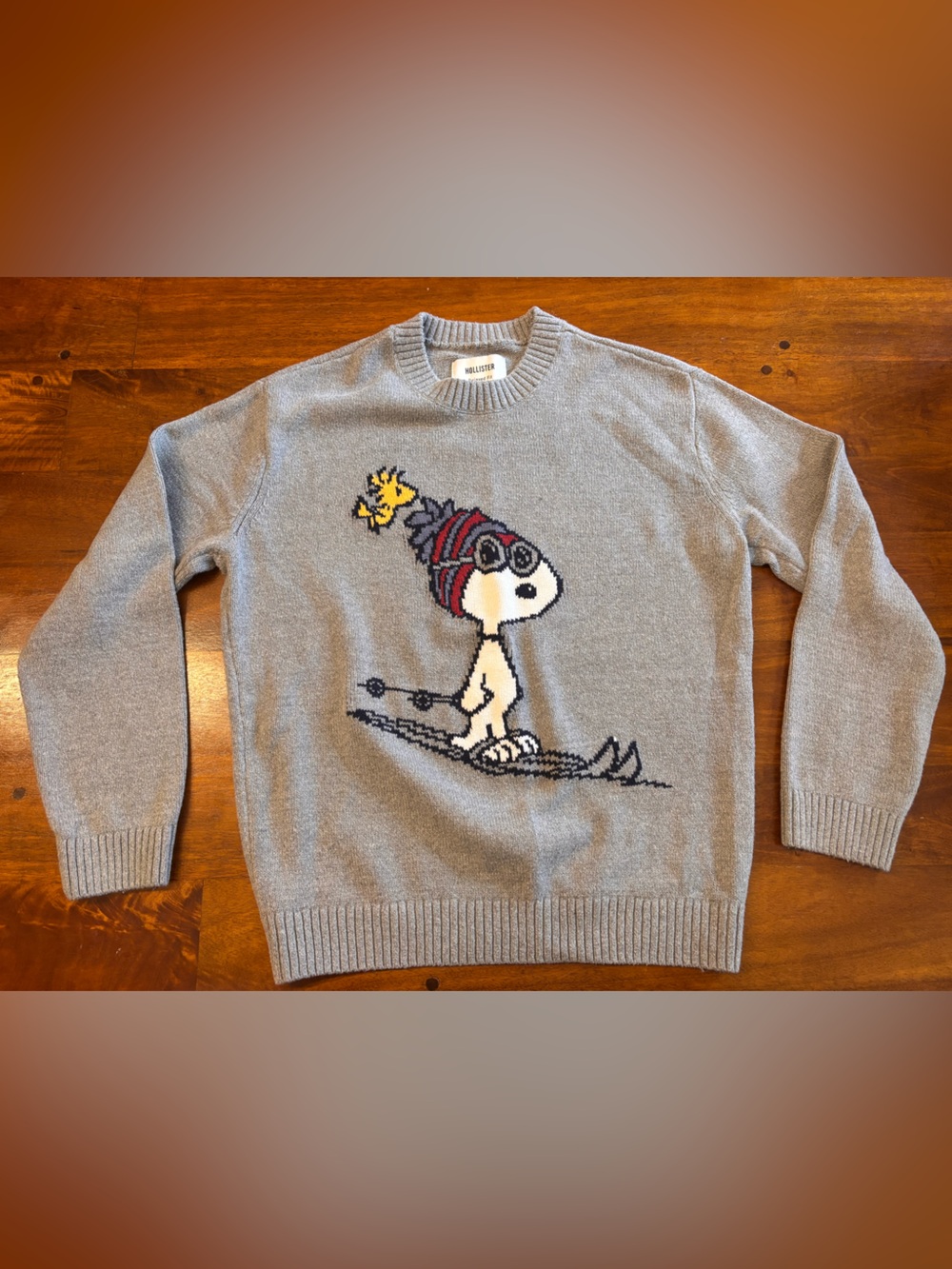 Hollister Snoopy Sweater